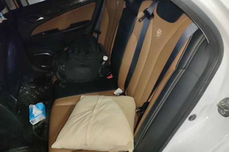 Used BYD Qin New Energy 2017 1.5T Luxury Model Left Rear Seat