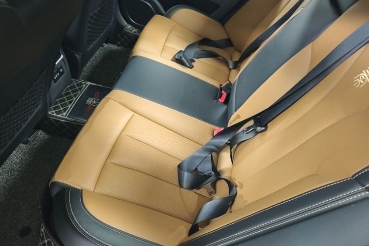 Used BYD Qin New Energy 2017 1.5T Luxury Model Left Rear Seat