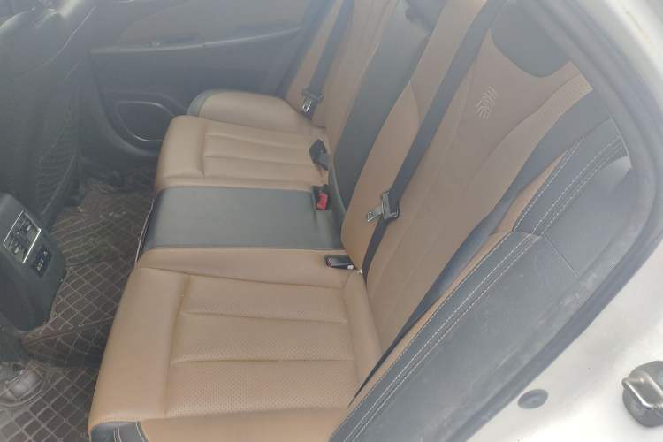 Used BYD Qin New Energy 2017 1.5T Luxury Model Left Rear Seat