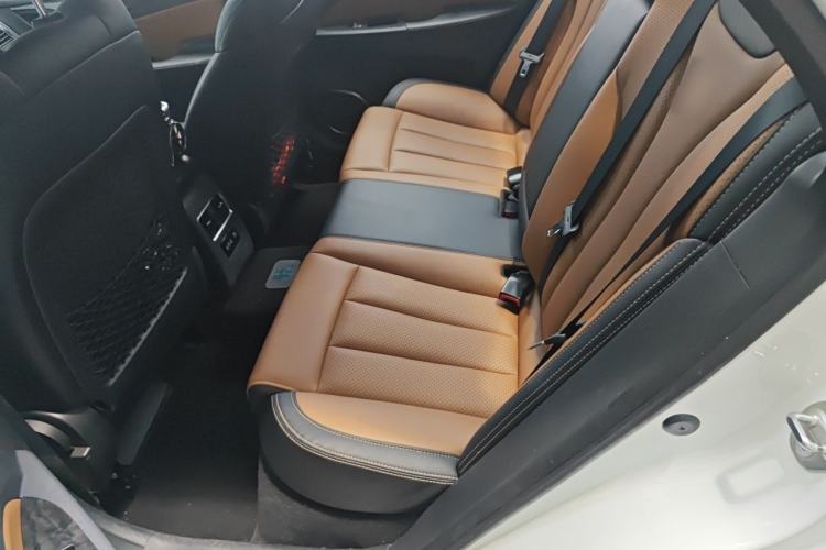 Used BYD Qin New Energy 2017 1.5T Luxury Model Left Rear Seat