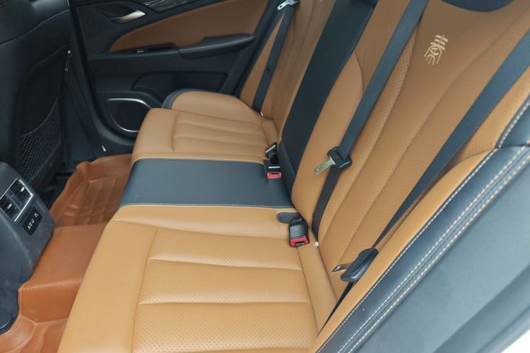Used BYD Qin New Energy 2017 1.5T Luxury Model Left Rear Seat