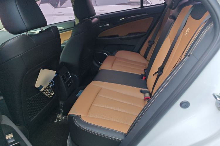 Used BYD Qin New Energy 2017 1.5T Luxury Model Left Rear Seat