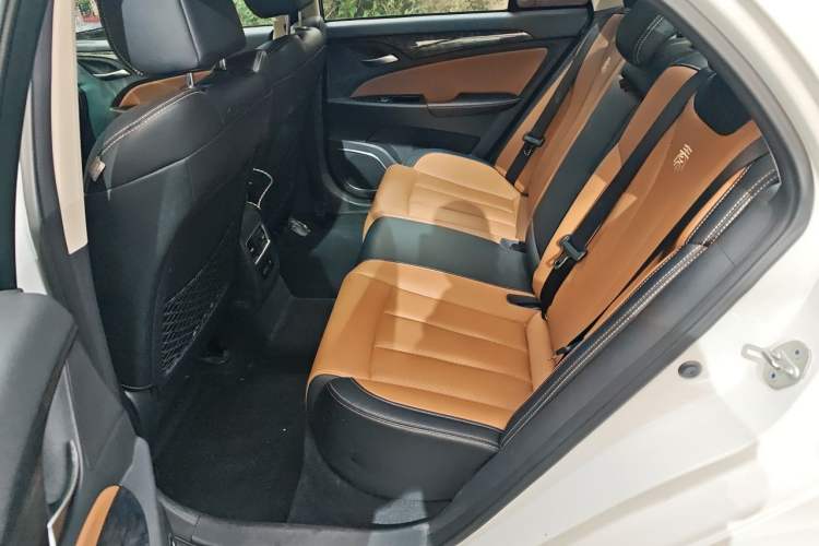 Used BYD Qin New Energy 2017 Qin EV300 Luxury Edition Left Rear Seat