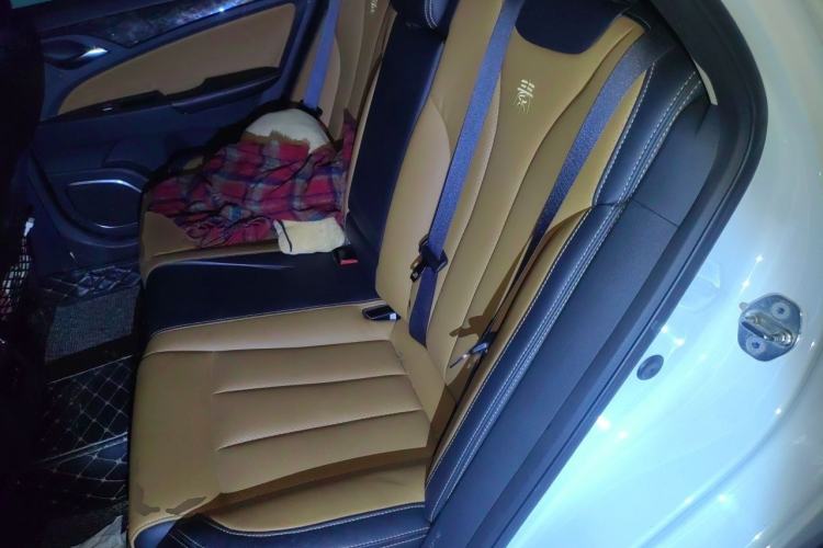 Used BYD Qin New Energy 2017 1.5T Luxury Model Left Rear Seat