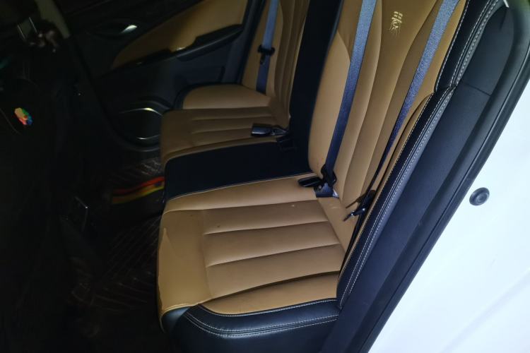 Used BYD Qin New Energy 2017 1.5T Luxury Model Left Rear Seat