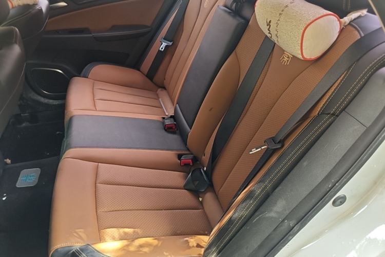 Used BYD Qin New Energy 2017 1.5T Luxury Model Left Rear Seat