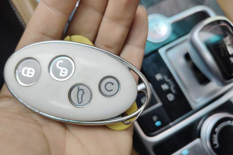 Used BYD Qin New Energy 2017 1.5T Luxury Model Vehicle Key