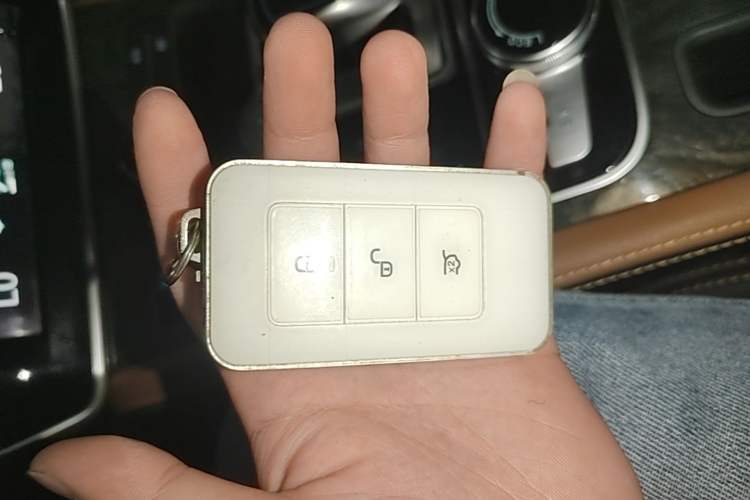 Used BYD Qin New Energy 2017 1.5T Luxury Model Vehicle Key
