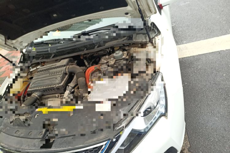Used BYD Qin New Energy 2018 1.5T Smart Connect Premium Model Engine Bay Left