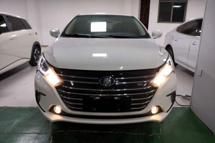 Used BYD Qin New Energy 2018 Qin EV450 Smart Connect Prestige Model Exterior 1