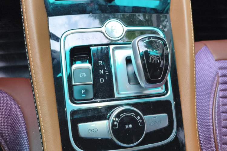 Used BYD Qin New Energy 2018 Qin EV450 Smart Connect Prestige Model Gear Lever