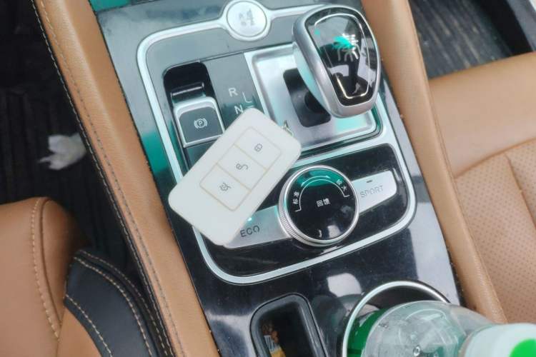 Used BYD Qin New Energy 2018 Qin EV450 Smart Connect Prestige Model Gear Lever