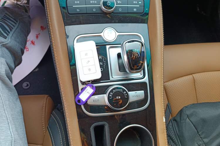 Used BYD Qin New Energy 2018 Qin EV450 Smart Connect Prestige Model Gear Lever