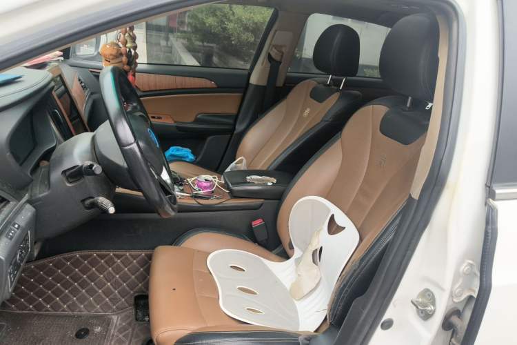 Used BYD Qin New Energy 2018 Qin EV450 Smart Connect Prestige Model Left Front Seat