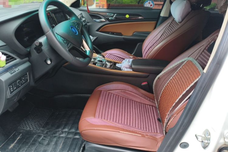 Used BYD Qin New Energy 2018 Qin EV450 Smart Connect Prestige Model Left Front Seat