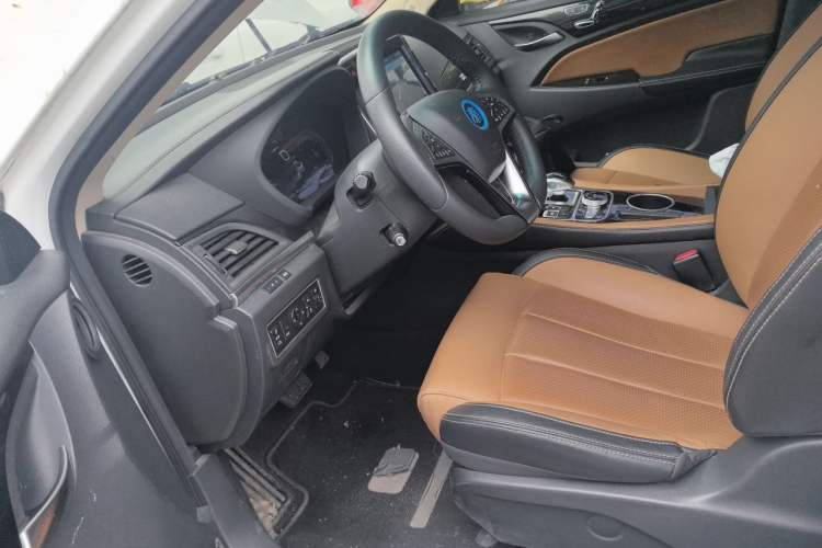 Used BYD Qin New Energy 2018 Qin EV450 Smart Connect Prestige Model Left Front Seat