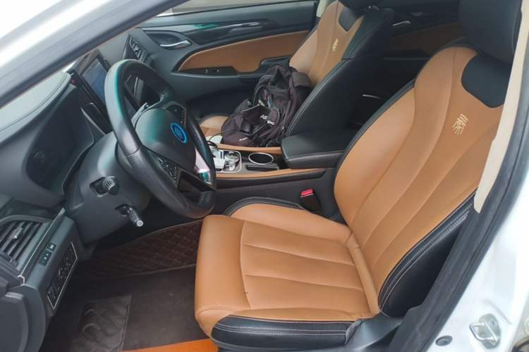 Used BYD Qin New Energy 2018 Qin EV450 Smart Connect Prestige Model Left Front Seat