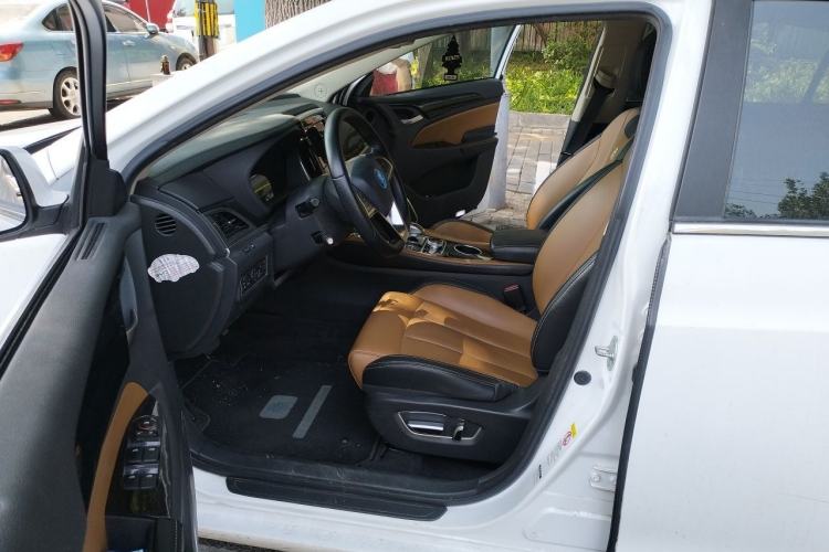 Used BYD Qin New Energy 2018 Qin EV450 Smart Connect Prestige Model Left Front Seat