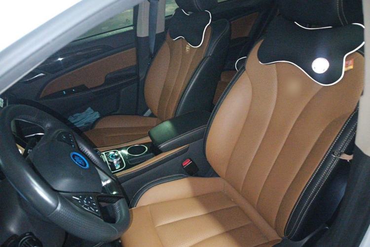 Used BYD Qin New Energy 2018 Qin EV450 Smart Connect Prestige Model Left Front Seat