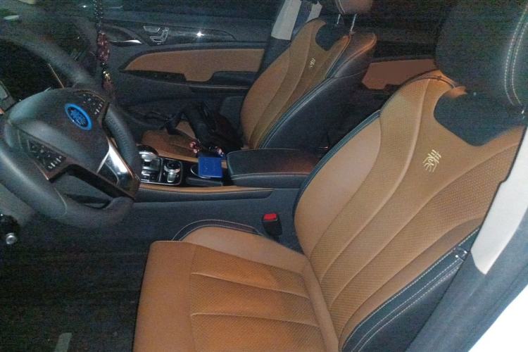 Used BYD Qin New Energy 2018 Qin EV450 Smart Connect Prestige Model Left Front Seat