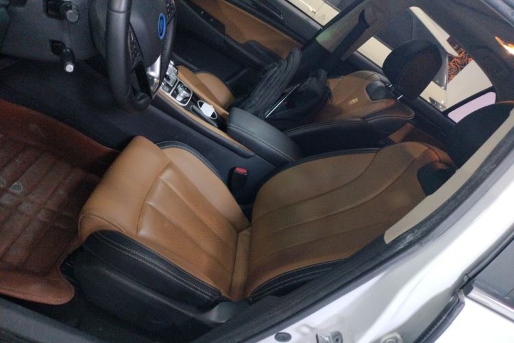 Used BYD Qin New Energy 2018 Qin EV450 Smart Connect Prestige Model Left Front Seat