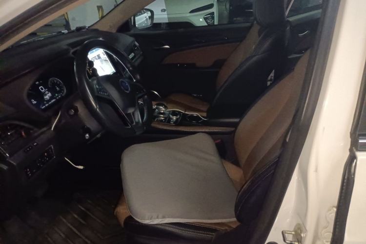 Used BYD Qin New Energy 2018 Qin EV450 Smart Connect Prestige Model Left Front Seat
