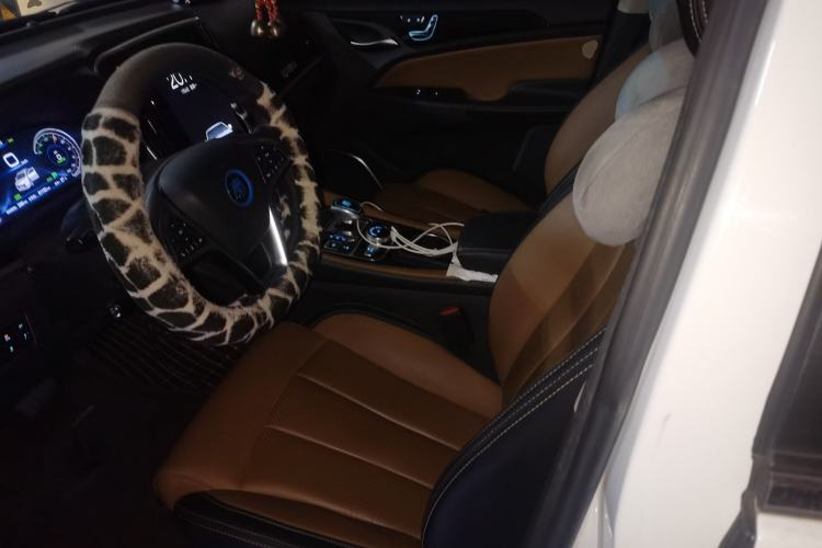 Used BYD Qin New Energy 2018 Qin EV450 Smart Connect Prestige Model Left Front Seat