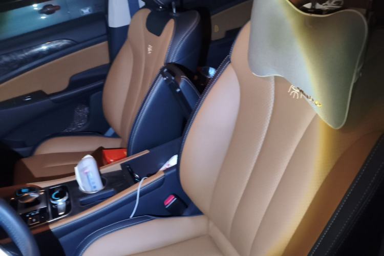 Used BYD Qin New Energy 2018 1.5T Smart Connect Premium Model Left Front Seat