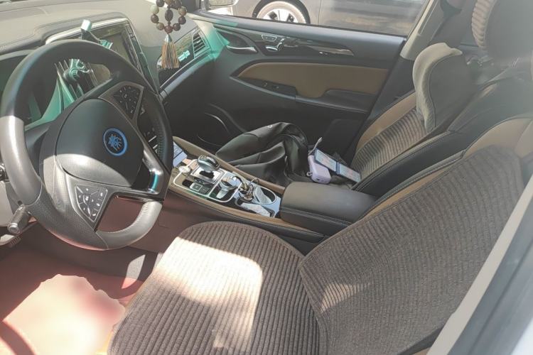 Used BYD Qin New Energy 2018 Qin EV450 Smart Connect Prestige Model Left Front Seat