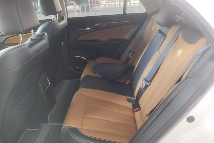 Used BYD Qin New Energy 2018 Qin EV450 Smart Connect Prestige Model Left Rear Seat
