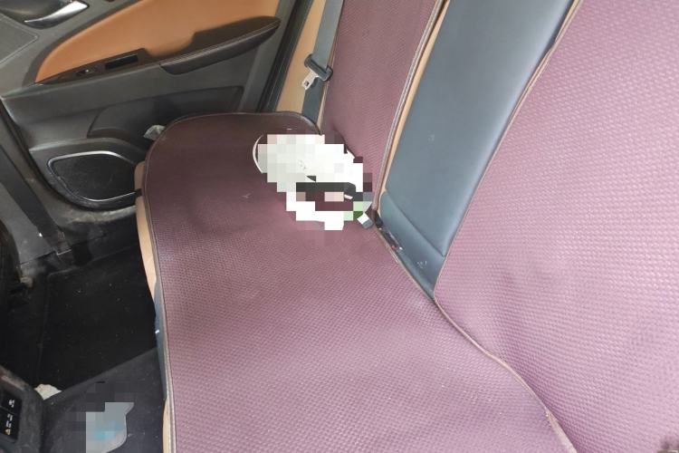 Used BYD Qin New Energy 2018 1.5T Smart Connect Premium Model Left Rear Seat