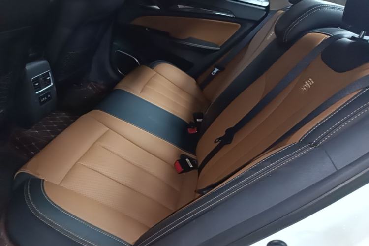 Used BYD Qin New Energy 2018 1.5T Smart Connect Premium Model Left Rear Seat