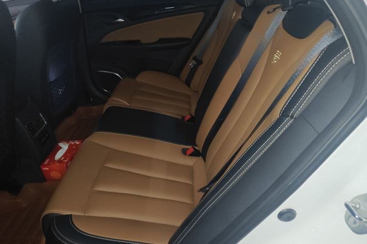 Used BYD Qin New Energy 2018 Qin EV450 Smart Connect Prestige Model Left Rear Seat