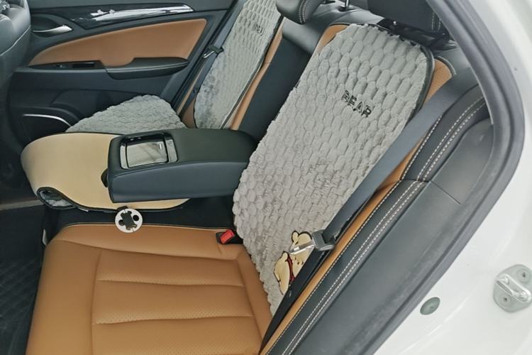 Used BYD Qin New Energy 2018 Qin EV450 Smart Connect Prestige Model Left Rear Seat