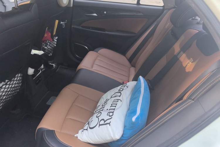 Used BYD Qin New Energy 2018 Qin EV450 Smart Connect Prestige Model Left Rear Seat