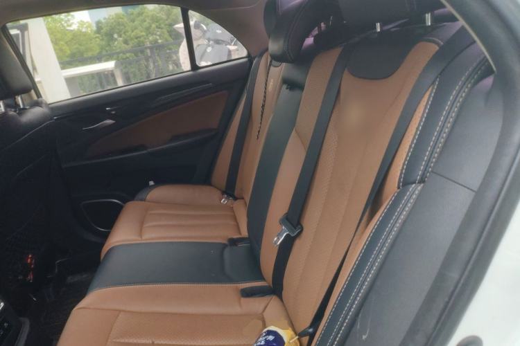 Used BYD Qin New Energy 2018 Qin EV450 Smart Connect Prestige Model Left Rear Seat