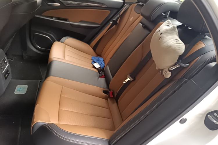 Used BYD Qin New Energy 2018 1.5T Smart Connect Premium Model Left Rear Seat