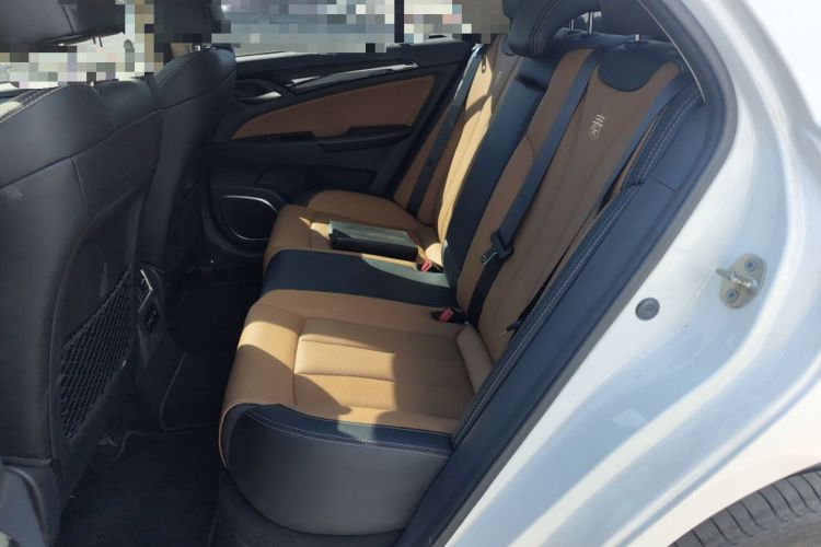 Used BYD Qin New Energy 2018 Qin EV450 Smart Connect Prestige Model Left Rear Seat