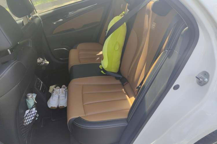 Used BYD Qin New Energy 2018 Qin EV450 Smart Connect Prestige Model Left Rear Seat