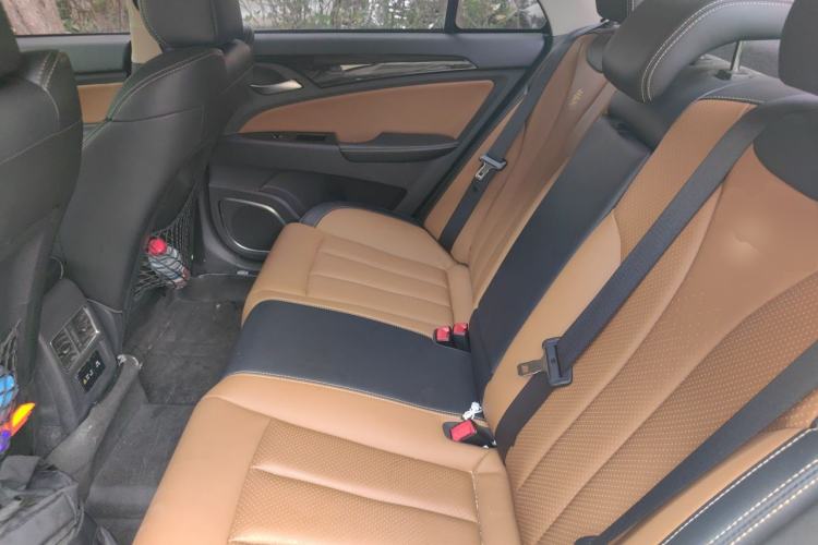 Used BYD Qin New Energy 2018 Qin EV450 Smart Connect Prestige Model Left Rear Seat