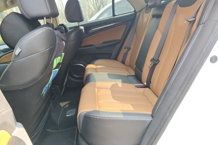Used BYD Qin New Energy 2018 Qin EV450 Smart Connect Fashion Model Left Rear Seat