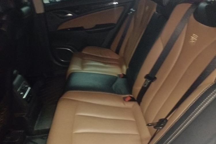 Used BYD Qin New Energy 2018 Qin EV450 Smart Connect Prestige Model Left Rear Seat