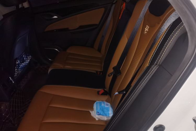 Used BYD Qin New Energy 2018 Qin EV450 Smart Connect Prestige Model Left Rear Seat