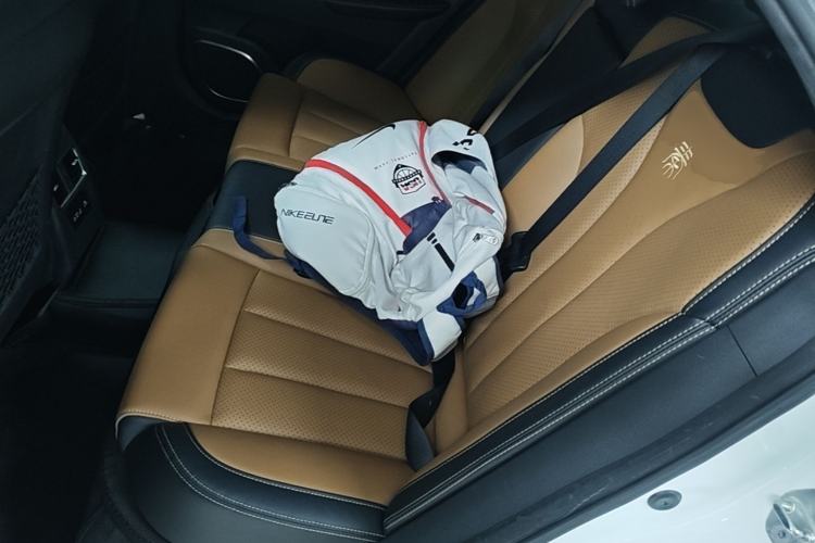 Used BYD Qin New Energy 2018 1.5T Smart Connect Premium Model Left Rear Seat