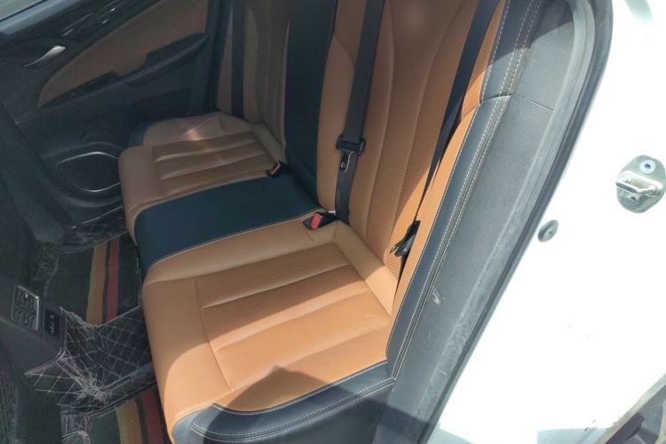 Used BYD Qin New Energy 2018 Qin EV450 Smart Connect Prestige Model Left Rear Seat