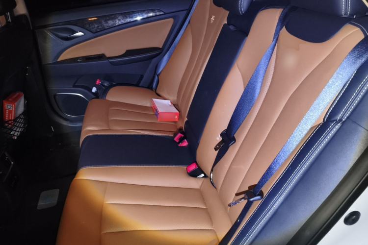 Used BYD Qin New Energy 2018 1.5T Smart Connect Premium Model Left Rear Seat