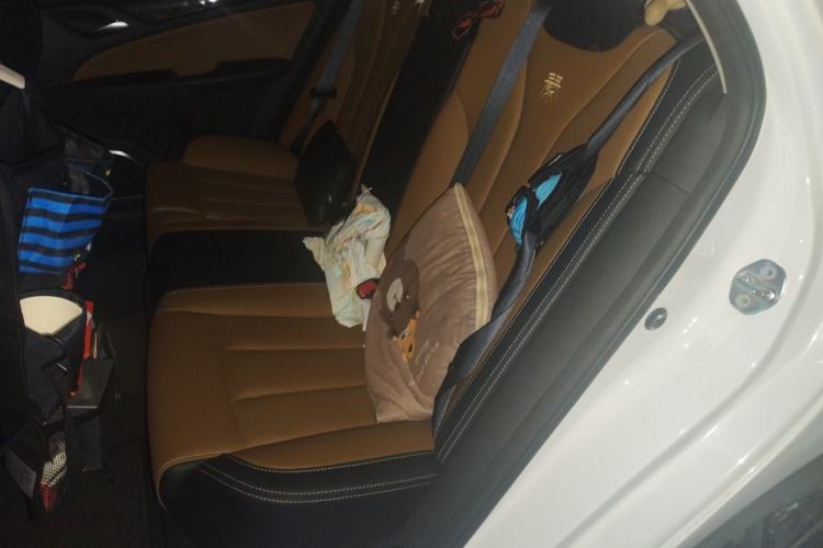 Used BYD Qin New Energy 2018 1.5T Smart Connect Premium Model Left Rear Seat