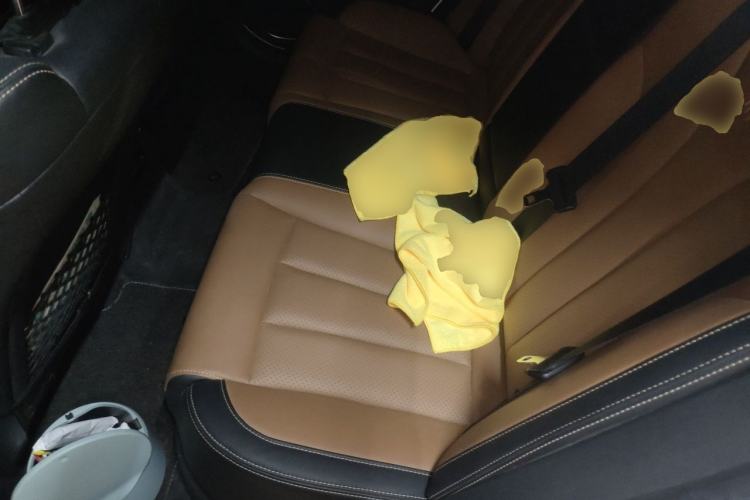 Used BYD Qin New Energy 2018 Qin EV450 Smart Connect Prestige Model Left Rear Seat