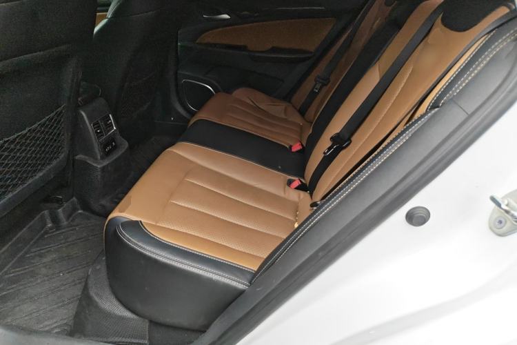Used BYD Qin New Energy 2018 Qin EV450 Smart Connect Prestige Model Left Rear Seat