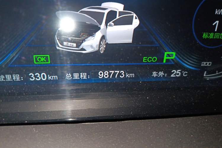 Used BYD Qin New Energy 2018 Qin EV450 Smart Connect Prestige Model Odometer Close Up